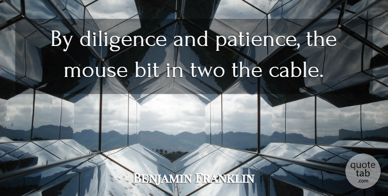 Benjamin Franklin Quote About Patience, Two, Diligence: By Diligence And Patience The...