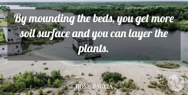 Rose Baglia Quote About Layer, Soil, Surface: By Mounding The Beds You...