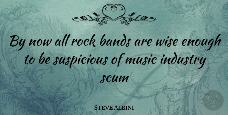 Steve Albini Quote About Wise, Rocks, Band: By Now All Rock Bands...