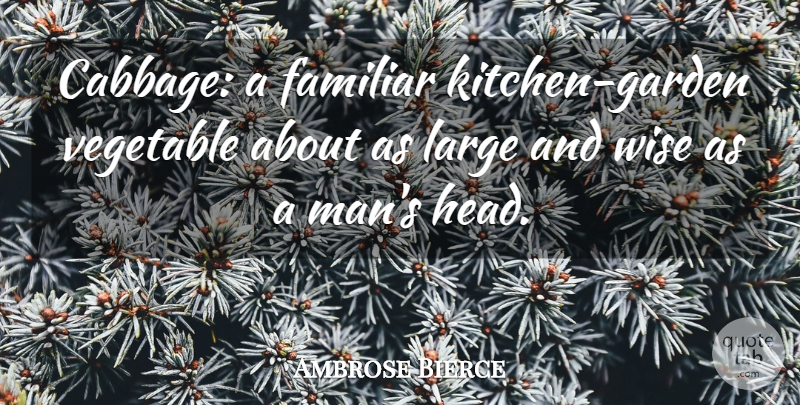 Ambrose Bierce Quote About Wise, Food, Men: Cabbage A Familiar Kitchen Garden...