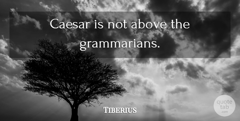 Tiberius Quote About Writing, Editing: Caesar Is Not Above The...