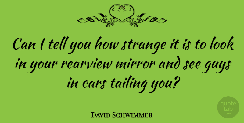 David Schwimmer Quote About Mirrors, Car, Guy: Can I Tell You How...
