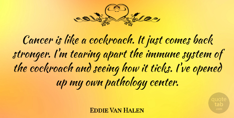 Eddie Van Halen Quote About Cancer, Stronger, Cockroaches: Cancer Is Like A Cockroach...