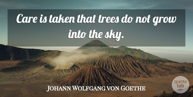Johann Wolfgang von Goethe Quote About Taken, Sky, Tree: Care Is Taken That Trees...