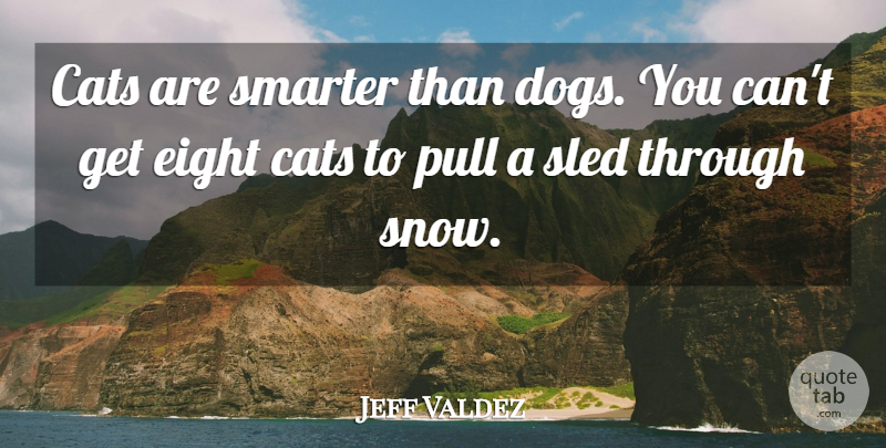 Jeff Valdez Quote About Funny, Dog, Cat: Cats Are Smarter Than Dogs...