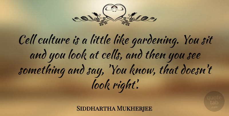 Siddhartha Mukherjee Quote About Cells, Gardening, Littles: Cell Culture Is A Little...