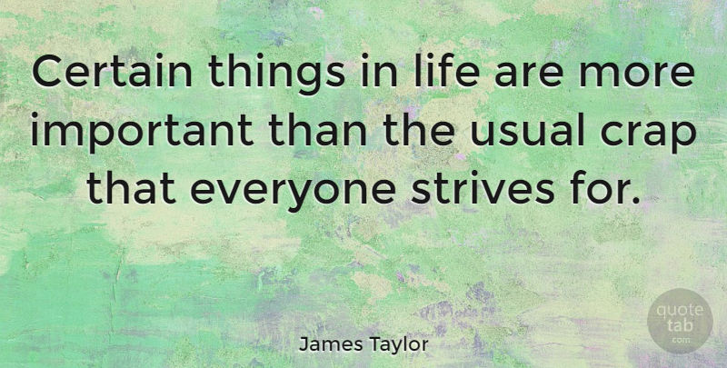 James Taylor Quote About Things In Life, Important, Usual: Certain Things In Life Are...