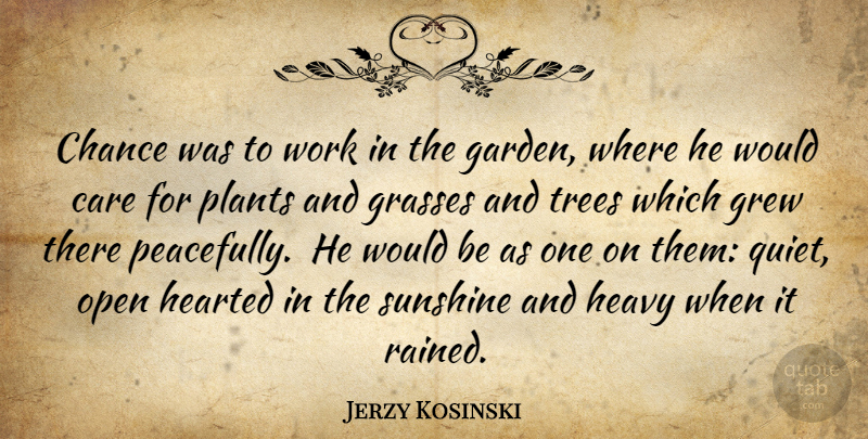 Jerzy Kosinski Quote About Sunshine, Garden, Compassion: Chance Was To Work In...