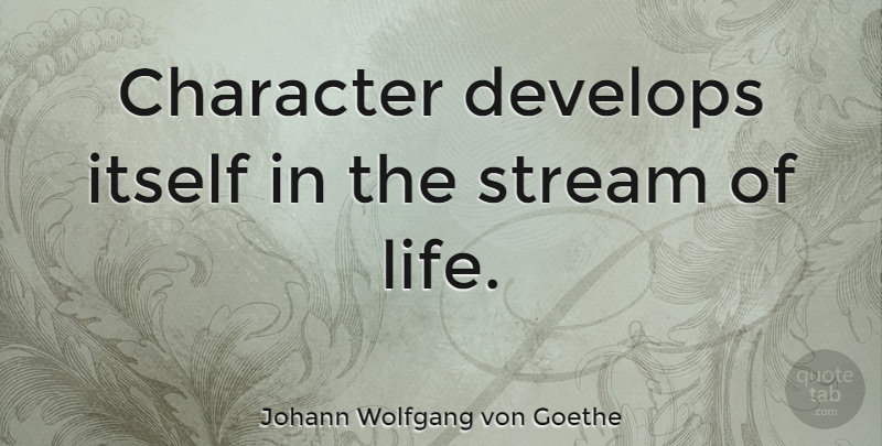 Johann Wolfgang von Goethe Quote About Life, Character, Streams: Character Develops Itself In The...