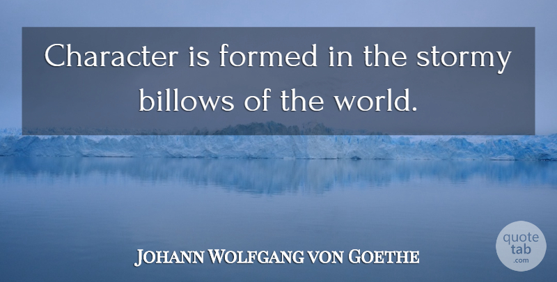 Johann Wolfgang von Goethe Quote About Character, Literature, World: Character Is Formed In The...