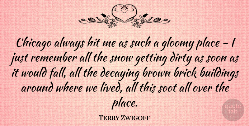 Terry Zwigoff Quote About Brown, Buildings, Chicago, Dirty, Gloomy: Chicago Always Hit Me As...