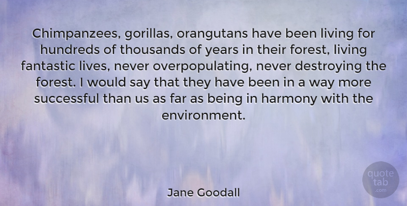 Jane Goodall Quote About Successful, Years, Fantastic Life: Chimpanzees Gorillas Orangutans Have Been...