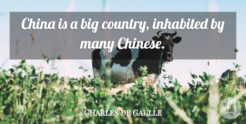Charles de Gaulle Quote About Country, Stupid, Silly: China Is A Big Country...