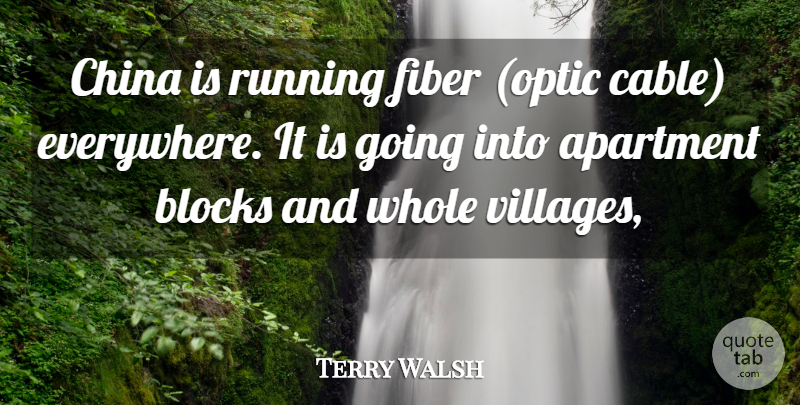 Terry Walsh Quote About Apartment, Blocks, China, Fiber, Running: China Is Running Fiber Optic...