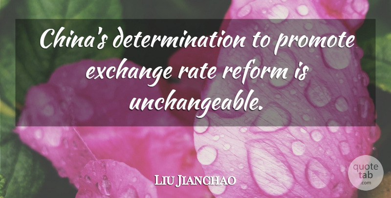 Liu Jianchao Quote About Determination, Exchange, Promote, Rate, Reform: Chinas Determination To Promote Exchange...