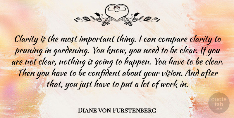 Diane von Furstenberg Quote About Vision, Important, Gardening: Clarity Is The Most Important...
