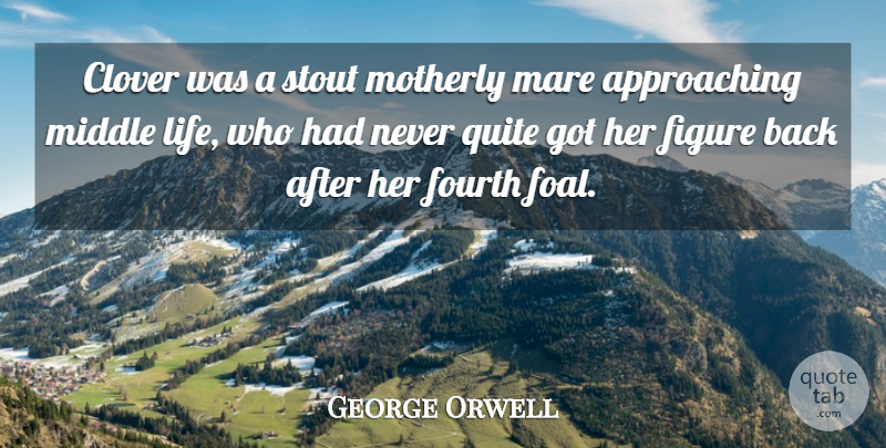 George Orwell Quote About Foals, Motherly, Stout: Clover Was A Stout Motherly...