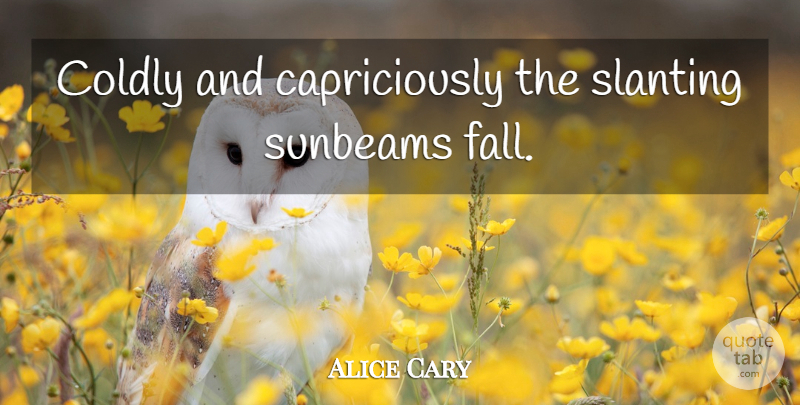 Alice Cary Quote About Fall, Winter, Sunbeams: Coldly And Capriciously The Slanting...