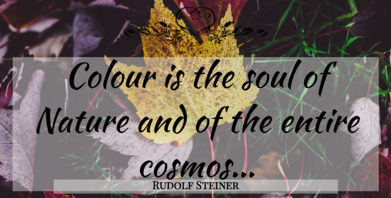 Rudolf Steiner Quote About Soul, Cosmos, Colour: Colour Is The Soul Of...