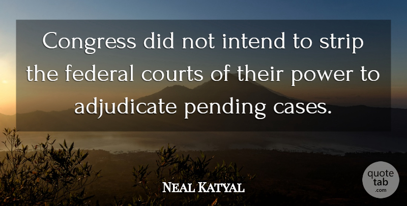 Neal Katyal Quote About Congress, Courts, Federal, Intend, Power: Congress Did Not Intend To...