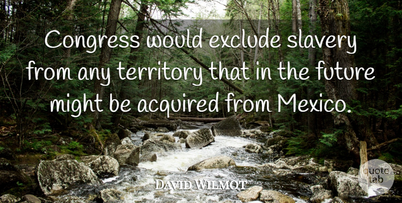 David Wilmot Quote About Acquired, Exclude, Future, Might, Territory: Congress Would Exclude Slavery From...