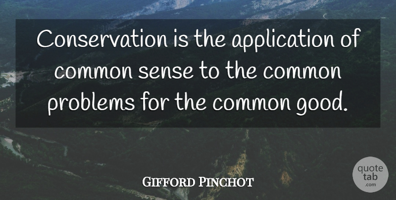Gifford Pinchot Quote About Common Sense, Problem, Conservation: Conservation Is The Application Of...