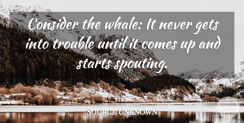 Source Unknown Quote About Consider, Gets, Silence, Starts, Trouble: Consider The Whale It Never...