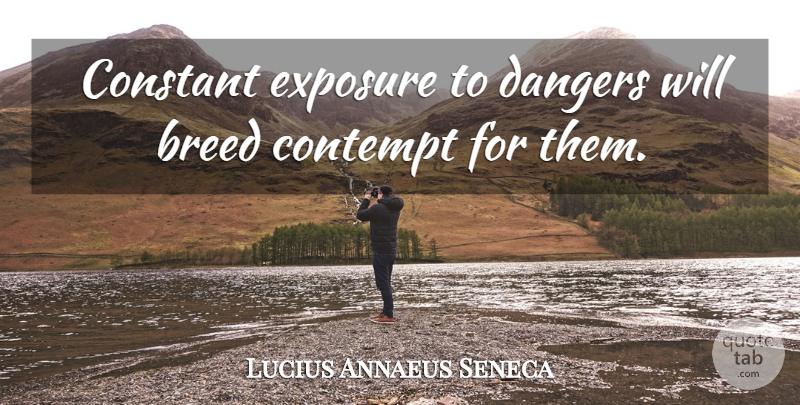 Lucius Annaeus Seneca Quote About Constant, Danger, Dangers: Constant Exposure To Dangers Will...