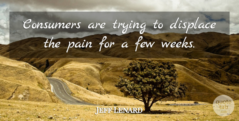 Jeff Lenard Quote About Consumers, Displace, Few, Pain, Trying: Consumers Are Trying To Displace...
