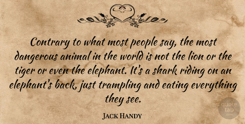 Jack Handy Quote About Animal, Contrary, Dangerous, Eating, Lion: Contrary To What Most People...