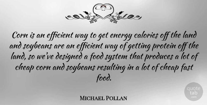 Michael Pollan Quote About Land, Soybeans, Corn: Corn Is An Efficient Way...