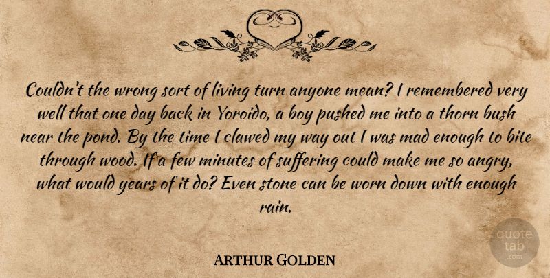 Arthur Golden Quote About Rain, Mean, Boys: Couldnt The Wrong Sort Of...