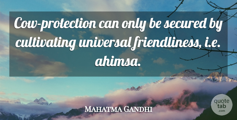 Mahatma Gandhi Quote About Cows, Protection, Ahimsa: Cow Protection Can Only Be...
