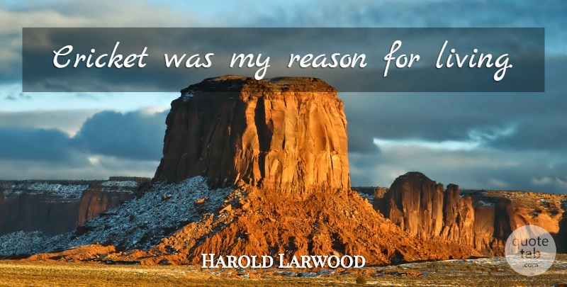 Harold Larwood Quote About Reason, Cricket: Cricket Was My Reason For...