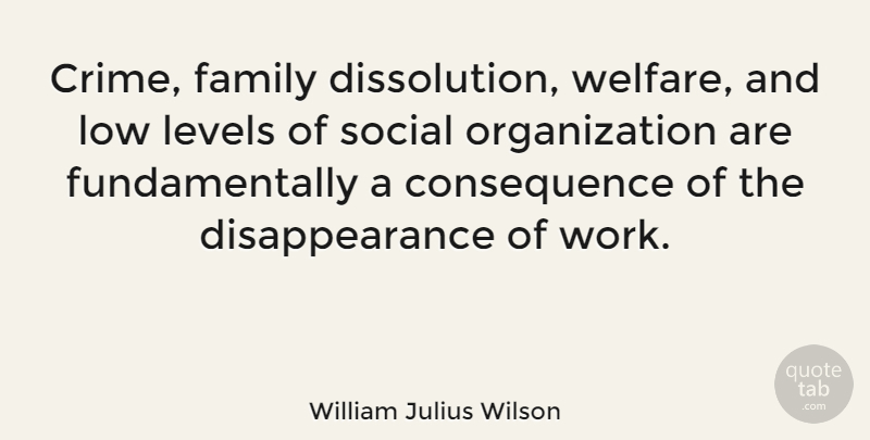 William Julius Wilson Quote About Work, Organization, Levels: Crime Family Dissolution Welfare And...