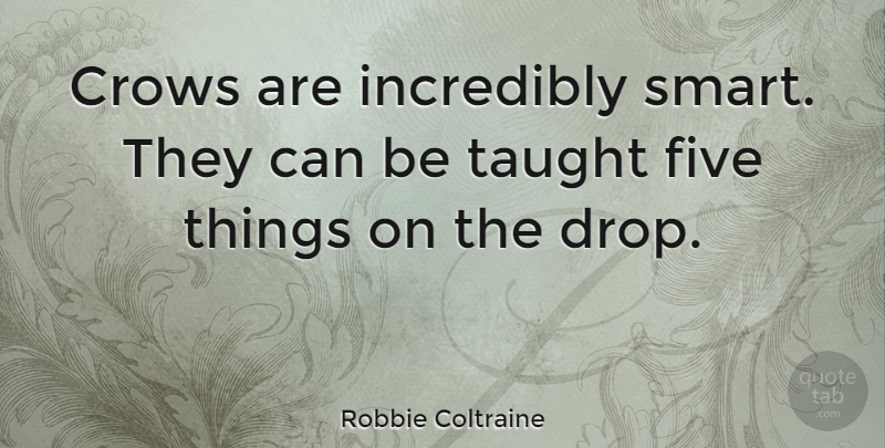 Robbie Coltraine Quote About Smart, Crow, Taught: Crows Are Incredibly Smart They...