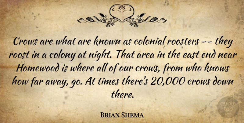 Brian Shema Quote About Area, Colonial, Colony, Crows, East: Crows Are What Are Known...