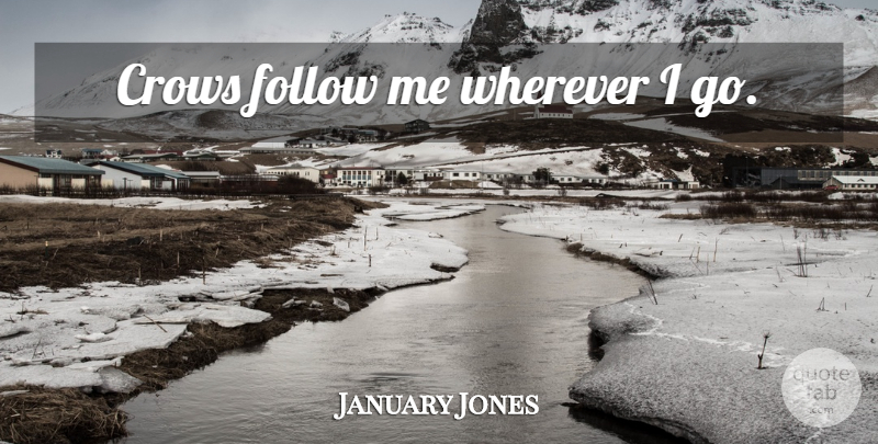 January Jones Quote About Crow, Follow Me: Crows Follow Me Wherever I...