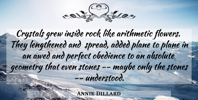 Annie Dillard Quote About Absolute, Added, Arithmetic, Crystals, Geometry: Crystals Grew Inside Rock Like...