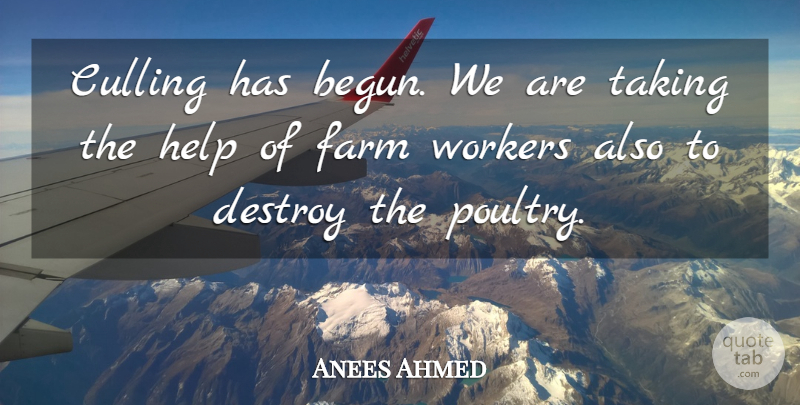 Anees Ahmed Quote About Destroy, Farm, Help, Taking, Workers: Culling Has Begun We Are...