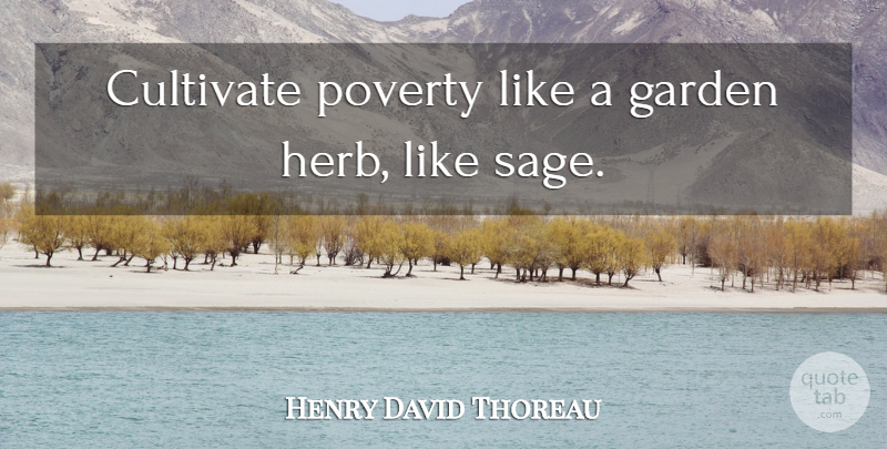 Henry David Thoreau Quote About Garden, Simplicity, Simple Life: Cultivate Poverty Like A Garden...