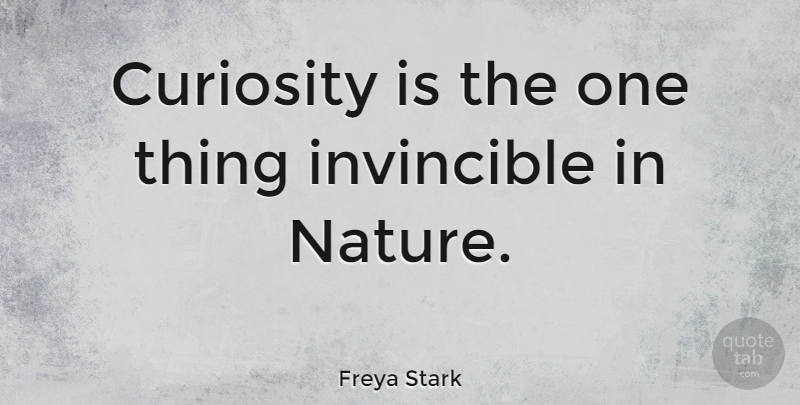 Freya Stark Quote About Curiosity, Invincible, One Thing: Curiosity Is The One Thing...