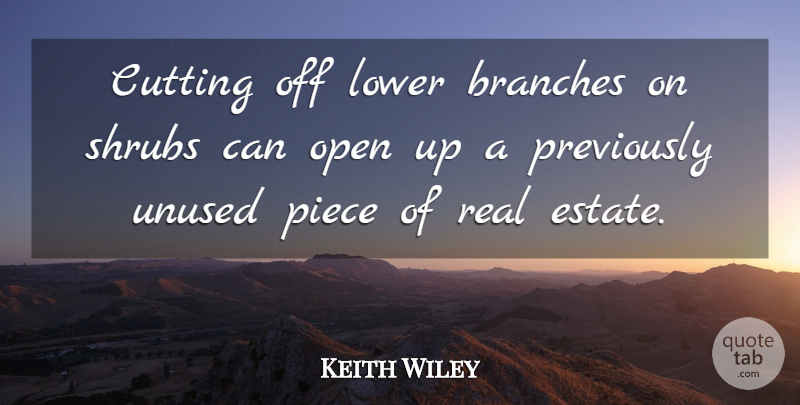 Keith Wiley Quote About Branches, Cutting, Lower, Open, Piece: Cutting Off Lower Branches On...