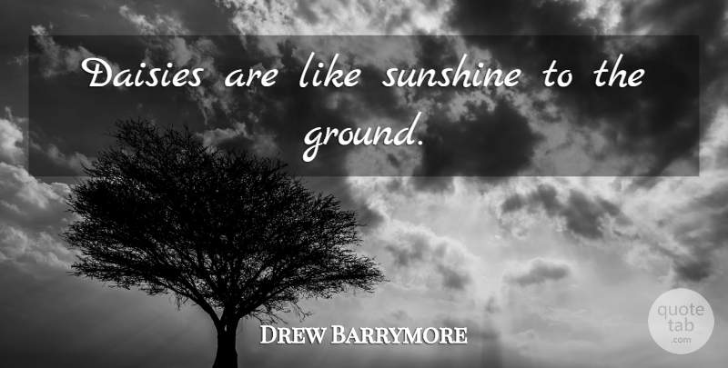 Drew Barrymore Quote About Sunshine, Daisies, Happy Sunshine: Daisies Are Like Sunshine To...