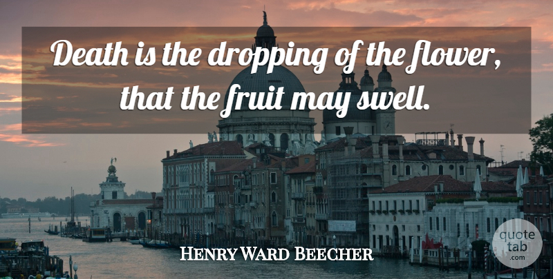 Henry Ward Beecher Quote About Death, Flower, May: Death Is The Dropping Of...