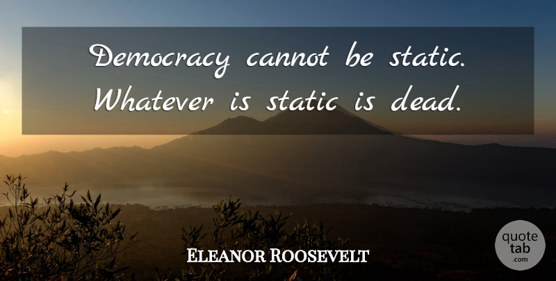 Eleanor Roosevelt Quote About Justice, Democracy, Social Justice: Democracy Cannot Be Static Whatever...