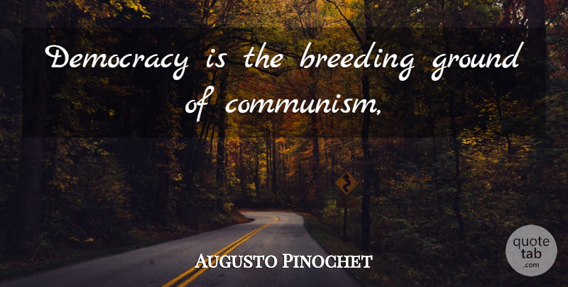 Augusto Pinochet Quote About Democracy, Communism, Breeding: Democracy Is The Breeding Ground...
