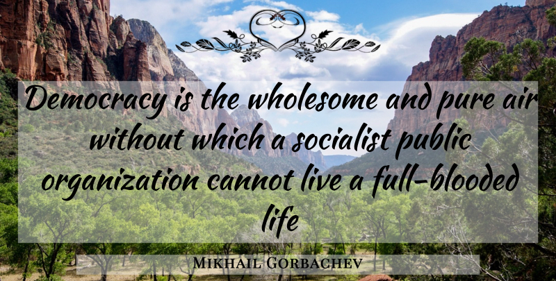 Mikhail Gorbachev Quote About Air, Organization, Democracy: Democracy Is The Wholesome And...