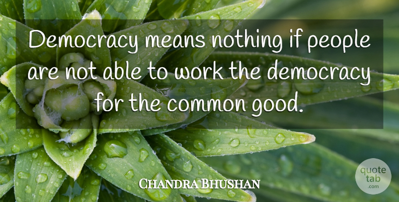 Chandra Bhushan Quote About Common, Democracy, Means, People, Work: Democracy Means Nothing If People...