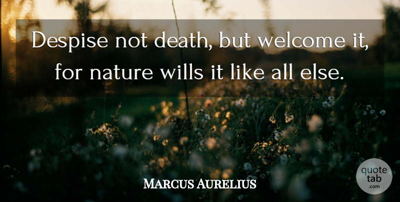 Marcus Aurelius Quote About Death, Philosophical, Dying: Despise Not Death But Welcome...